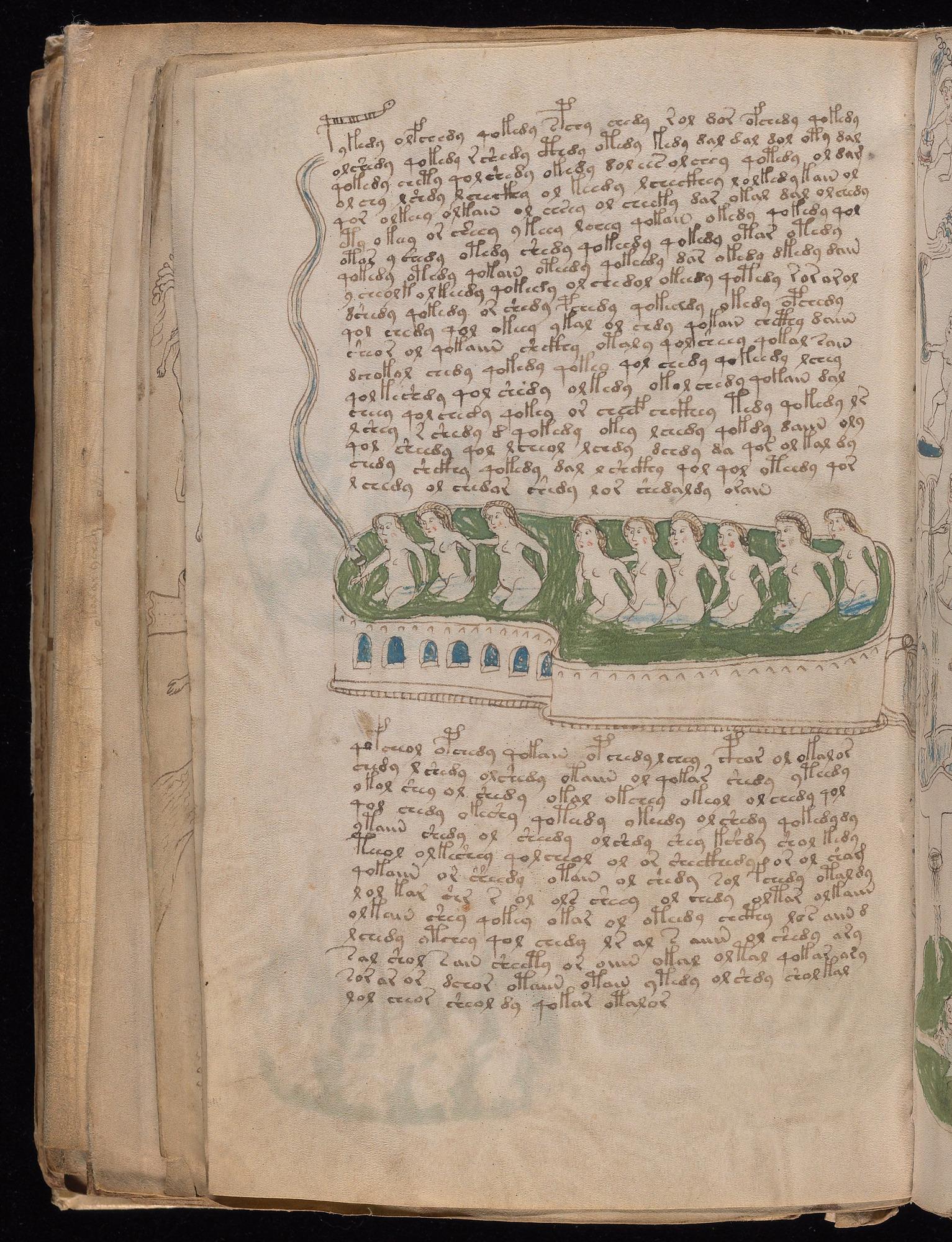 Voynich Manuscript folio f78v — Beinecke MS 408